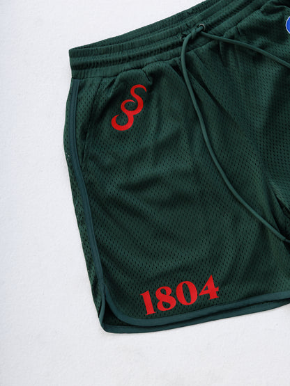 Haiti '26 Mesh Shorts - Green